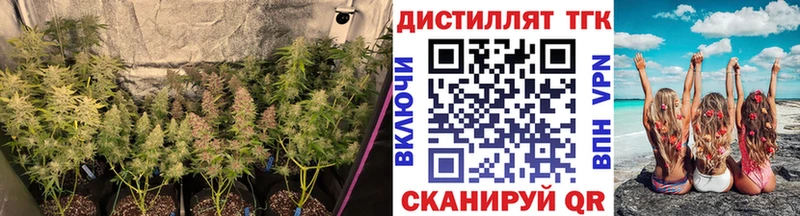 кракен   Дагестанские Огни  Дистиллят ТГК вейп с тгк 