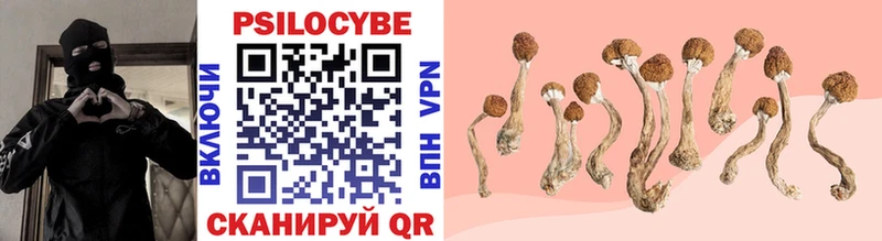Псилоцибиновые грибы Magic Shrooms  Дагестанские Огни 